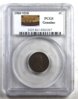 pcgs1.jpg