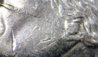 20120804_1994f.jpg