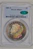 25537342 obv slab (Medium).JPG
