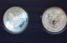 2 Coin Rev. S Silver Eagles-Reduced.jpg
