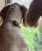 IMG_6486.jpeg