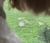 IMG_6488.jpeg