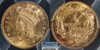 1889 Gold dollar combined.jpg