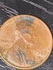 PENNY FULL.jpg