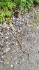 Image_1779810474005.jpg