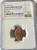 IMG_1308.jpeg