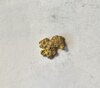IMG_1033.jpeg