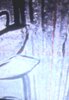 20260611_155018.jpg