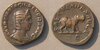 OtaciliaSevera3sestHippo8323.jpg