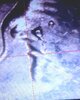 20260615_065016.jpg