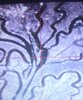 20260615_064954.jpg