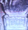 20260615_064946.jpg