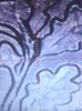 20260615_065807.jpg