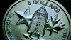 7 2026_06_15_15_35_15_067.png