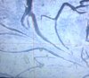 20260616_085811.jpg