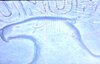 20260616_085841.jpg