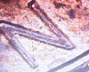 20260622_052814.jpg