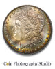 Puzzle 1-1887 Morgan Dollar.jpg