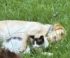 IMG_0651.jpeg