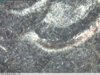 2002_Indiana_Ear2.jpg