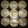 Buffalo-01.jpg
