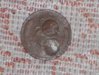 DSCN4179.jpg