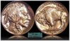 1938-DD Buffalo.jpg