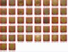 Indian Heads 3.jpg