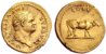 Bd - Titus AV aureus - dual.jpg