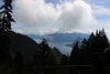 IMG_7020.JPG