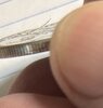 IMG_1549.jpeg