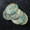 Epfig_concretion_2.jpg