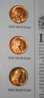 shell_case_cents - Copy.jpg