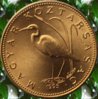 egret_2.jpg