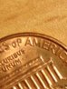 Penny Error.jpg
