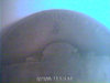 Picture 1587.jpg