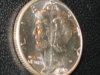 100_0005.JPG
