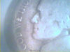 Picture 1591.jpg