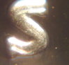 1-2005s.JPG