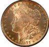 1877MS63Morgan.jpg