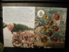 Dscn4625.jpg