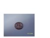 Coin 001.jpg