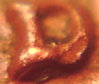 PICT2241.JPG