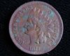 1873 IHC obv.jpg