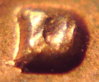 1979D RPM.JPG