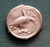 eagles_hare.jpg
