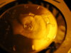 DSCN4458.jpg