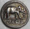 elephant1.jpg