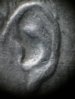 MDD ear.jpg
