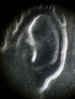 DDO ear.jpg